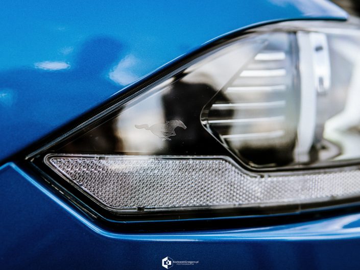 Ford Mustang GT 5.0 Cabrio Velocity Blue | Grzegorz Kozłowski fotografia motoryzacyjna Gliwice, Śląsk